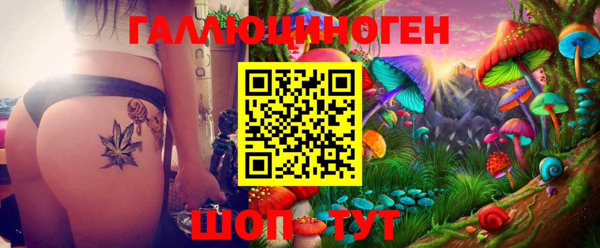 Елабуга  Галлюциногенные грибы GOLDEN TEACHER  Вход с VPN 